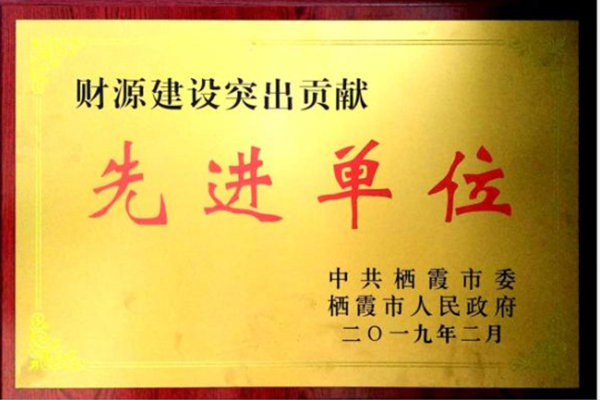 財(cái)源建設(shè)突出貢獻(xiàn)先進(jìn)單位